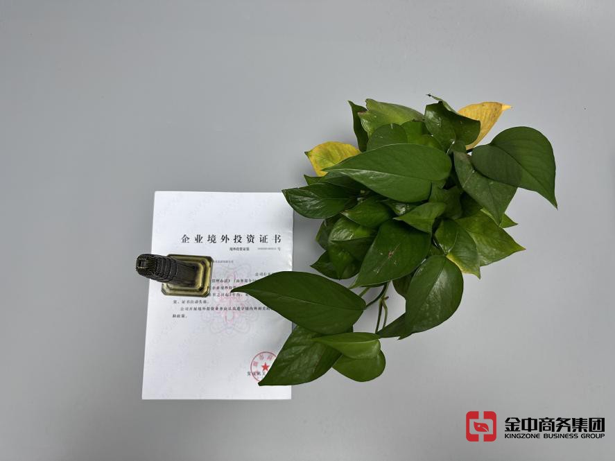 境外投资备案 境外投资备案