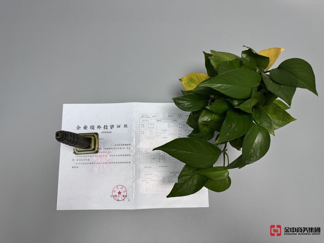 境外投资备案 境外投资备案