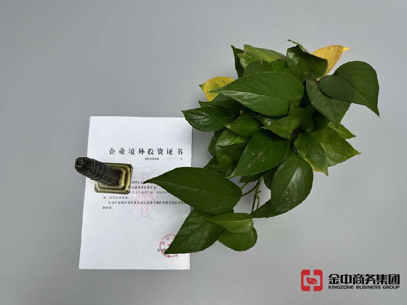 FDI登记备案 FDI登记备案