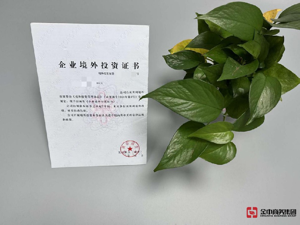 境外投资备案备案 境外投资备案备案