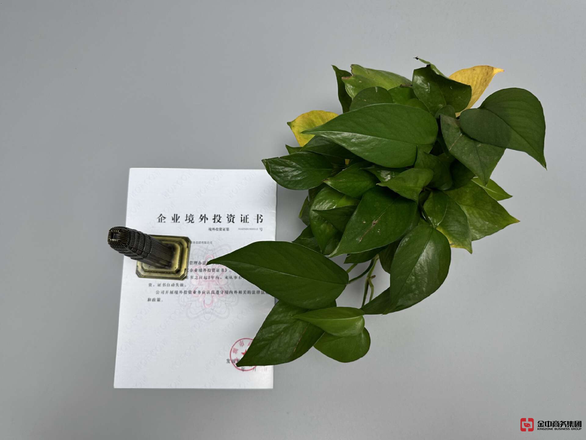 ODI备案登记 ODI备案登记