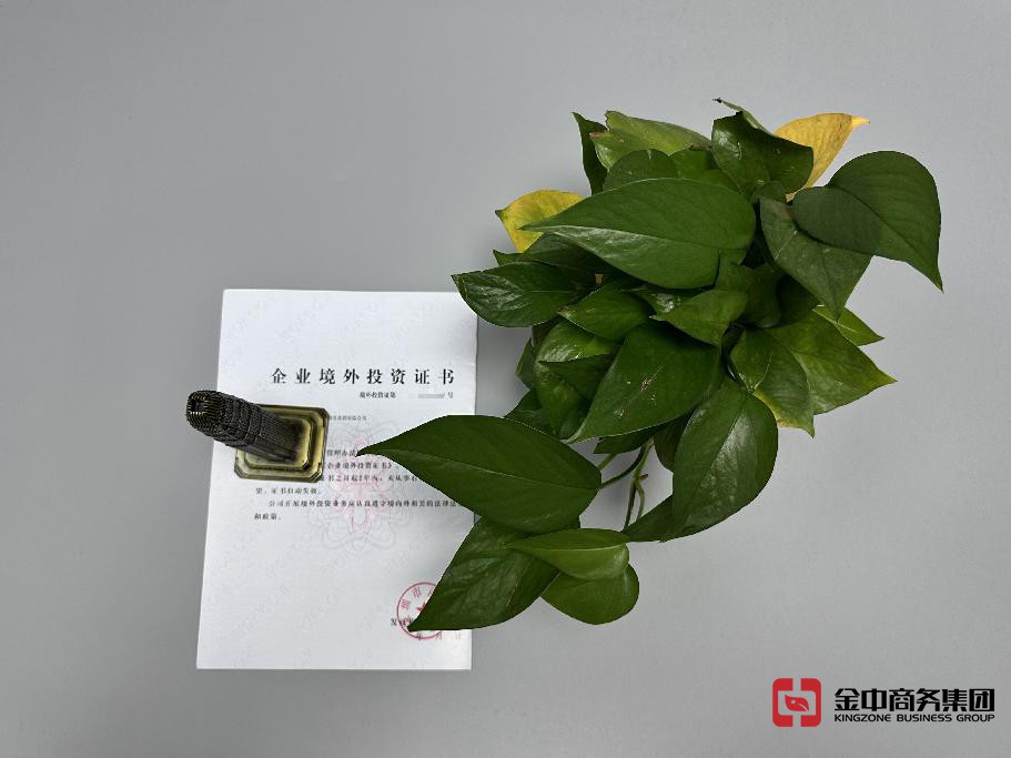 FDI备案登记 FDI备案登记