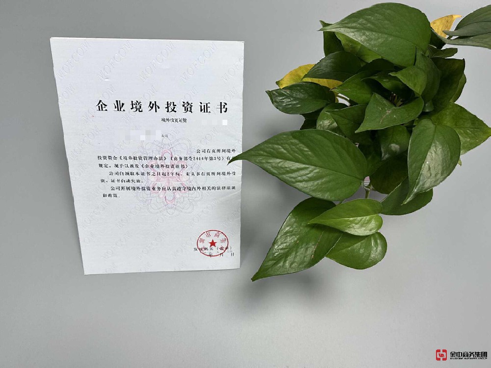 ODI备案登记 ODI备案登记