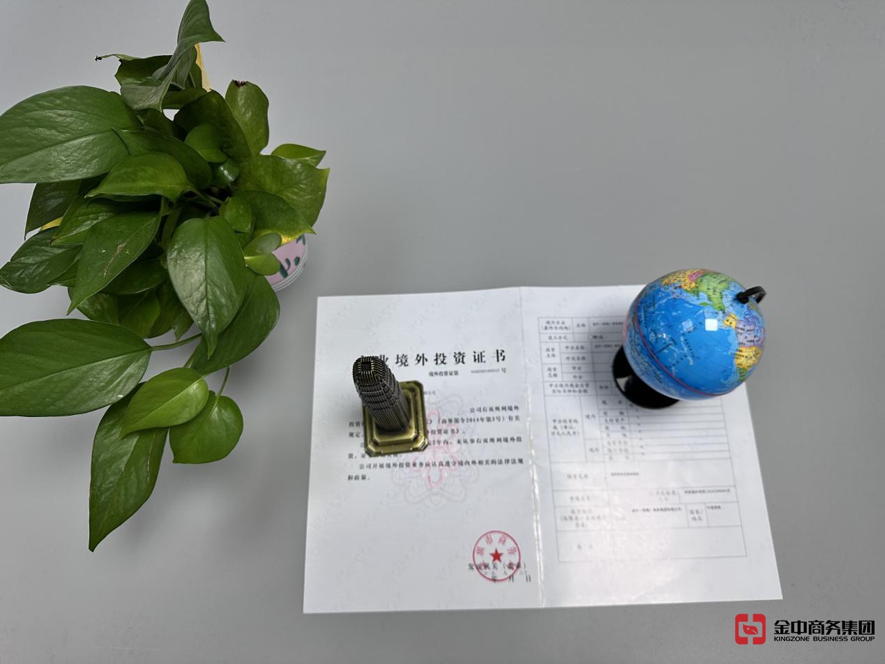 外国直接投资 外国直接投资